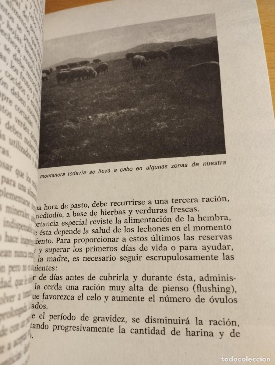 Libros de segunda mano: GANADER&Iacute;A MODERNA (L. M. DEL BO) - Foto 11