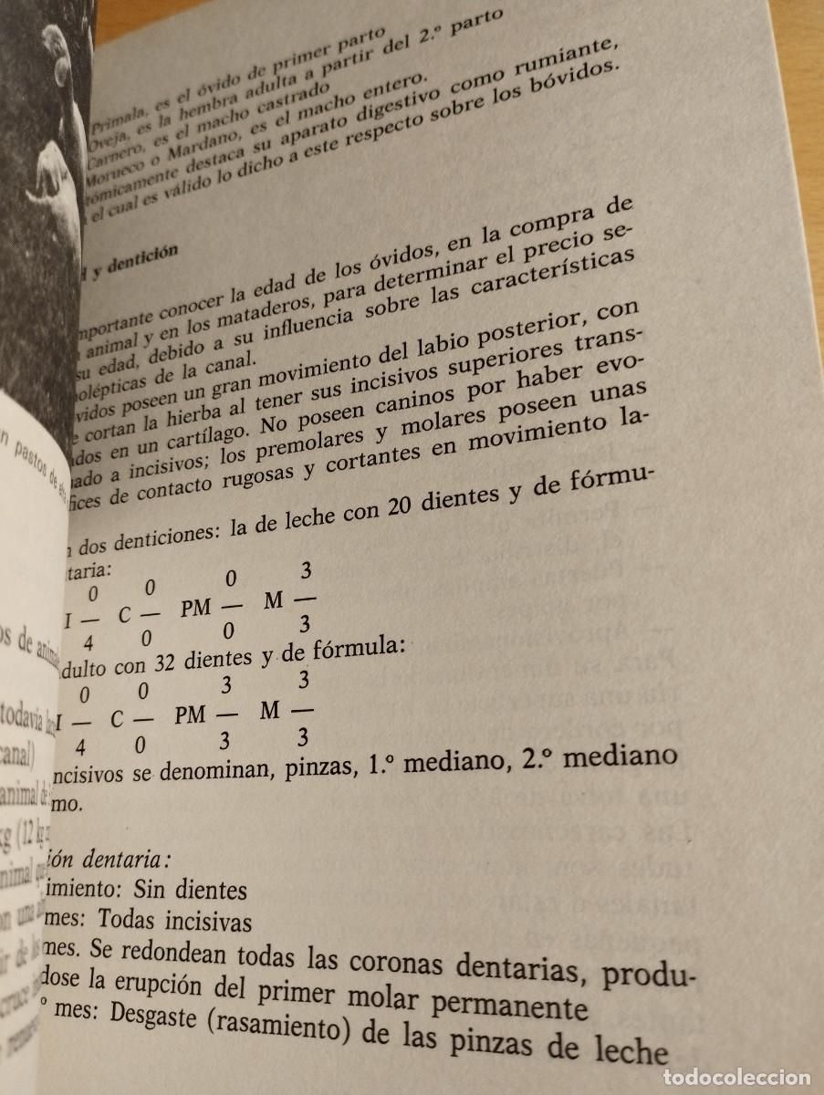 Libros de segunda mano: GANADER&Iacute;A MODERNA (L. M. DEL BO) - Foto 12