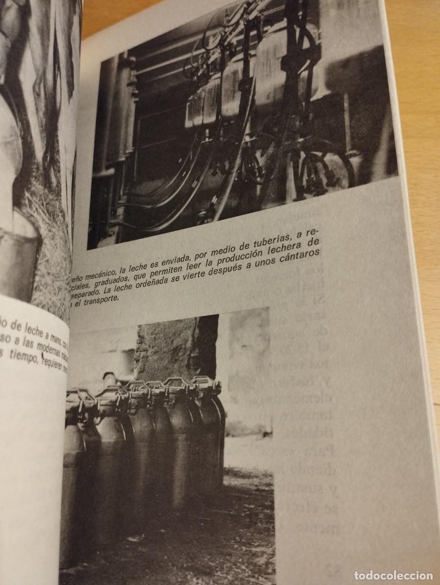 Libros de segunda mano: GANADER&Iacute;A MODERNA (L. M. DEL BO) - Foto 13