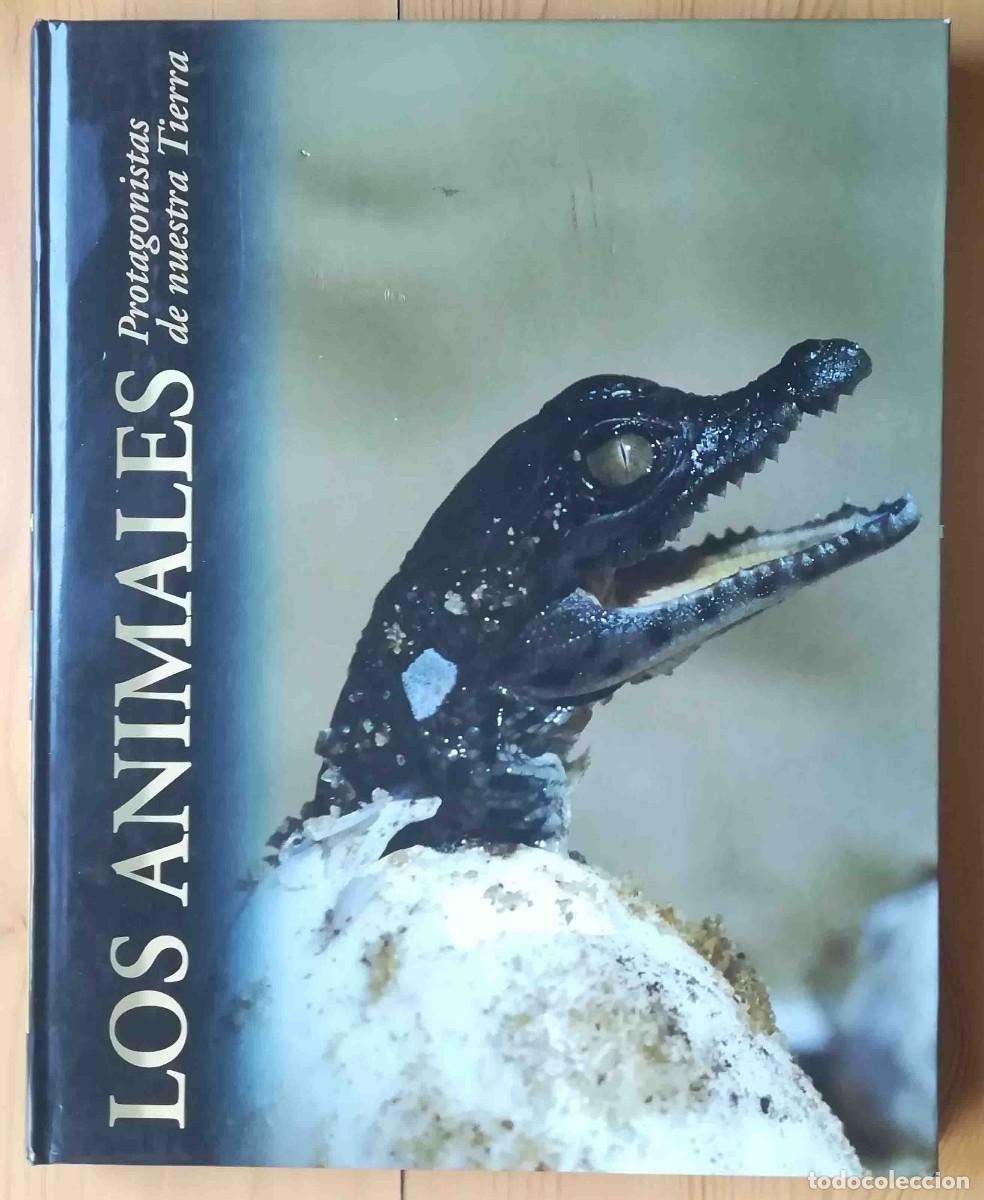 Libros de segunda mano: Los animales protagonistas de nuestra Tierra. Espacios h&uacute;medos. Ediciones Rueda. - Foto 1