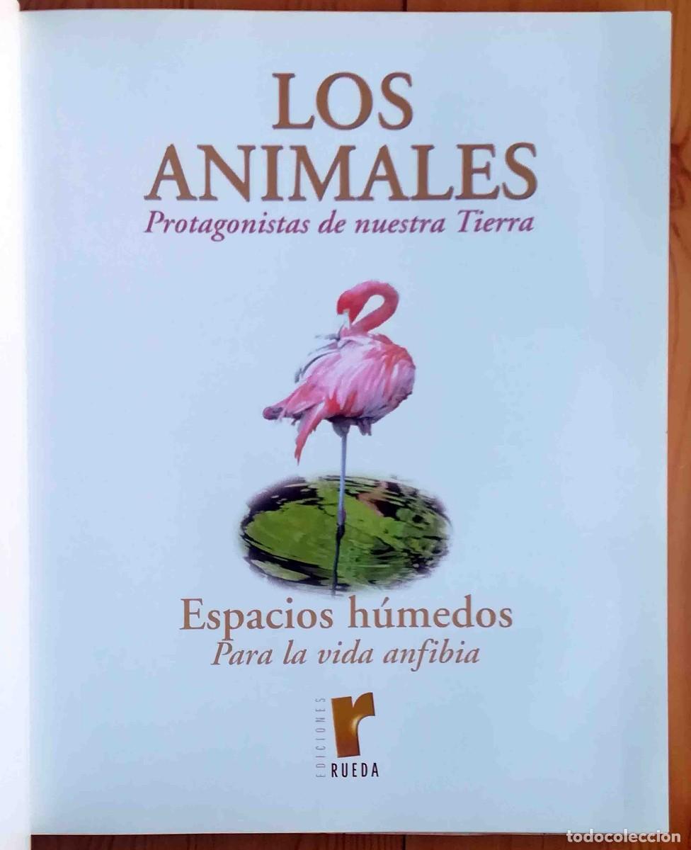 Libros de segunda mano: Los animales protagonistas de nuestra Tierra. Espacios h&uacute;medos. Ediciones Rueda. - Foto 2