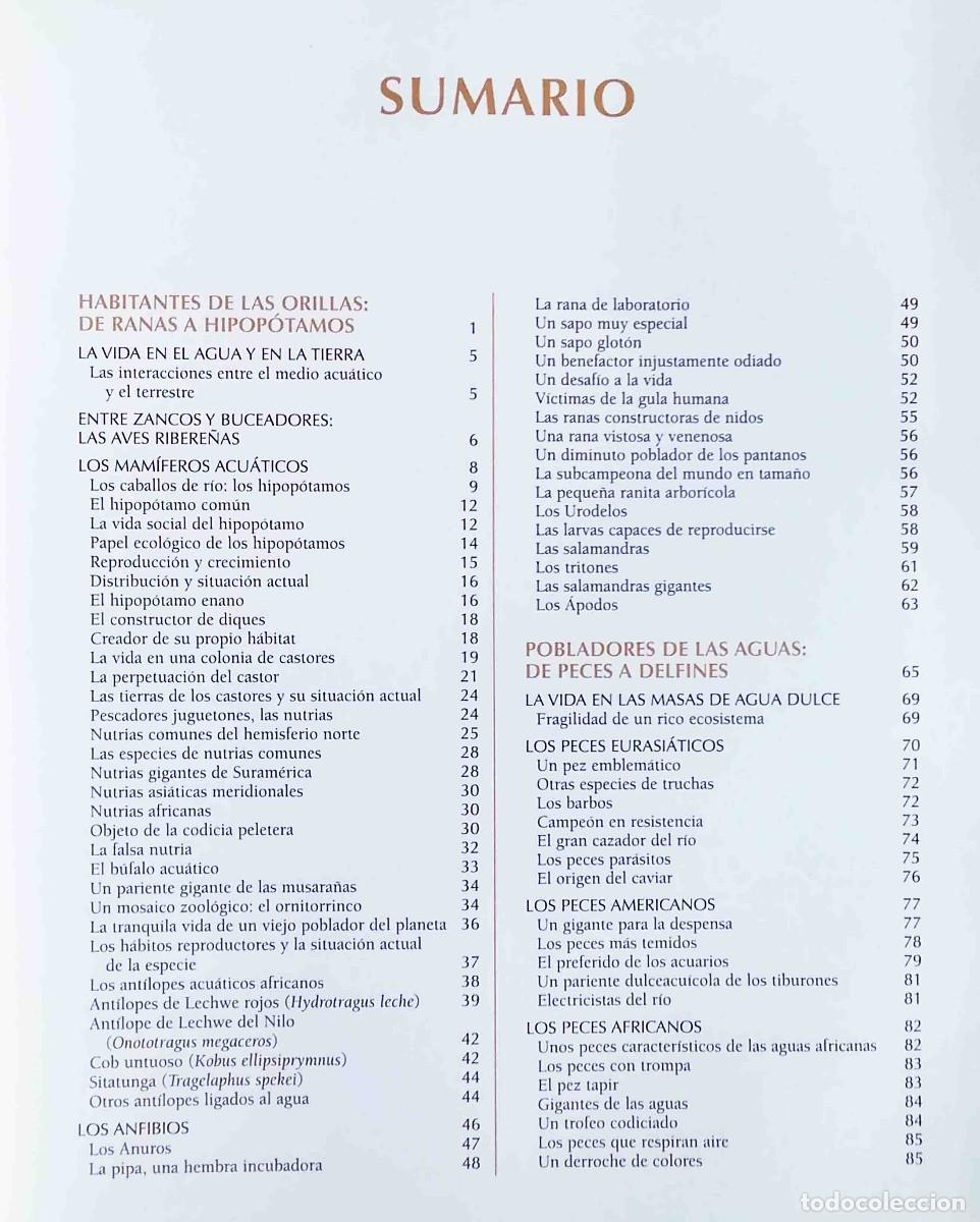 Libros de segunda mano: Los animales protagonistas de nuestra Tierra. Espacios h&uacute;medos. Ediciones Rueda. - Foto 3