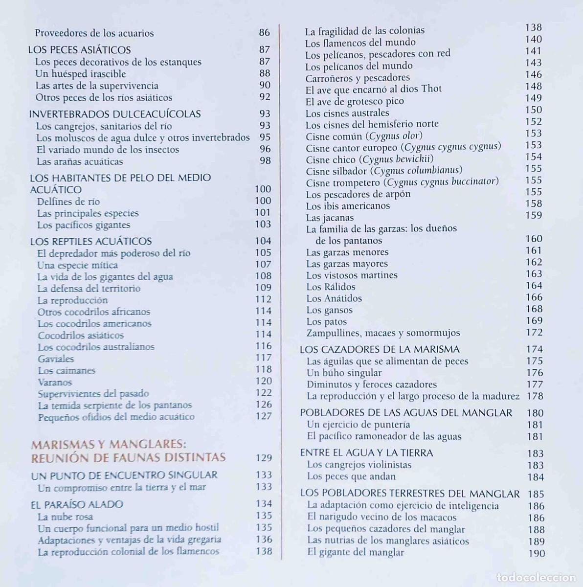 Libros de segunda mano: Los animales protagonistas de nuestra Tierra. Espacios h&uacute;medos. Ediciones Rueda. - Foto 4