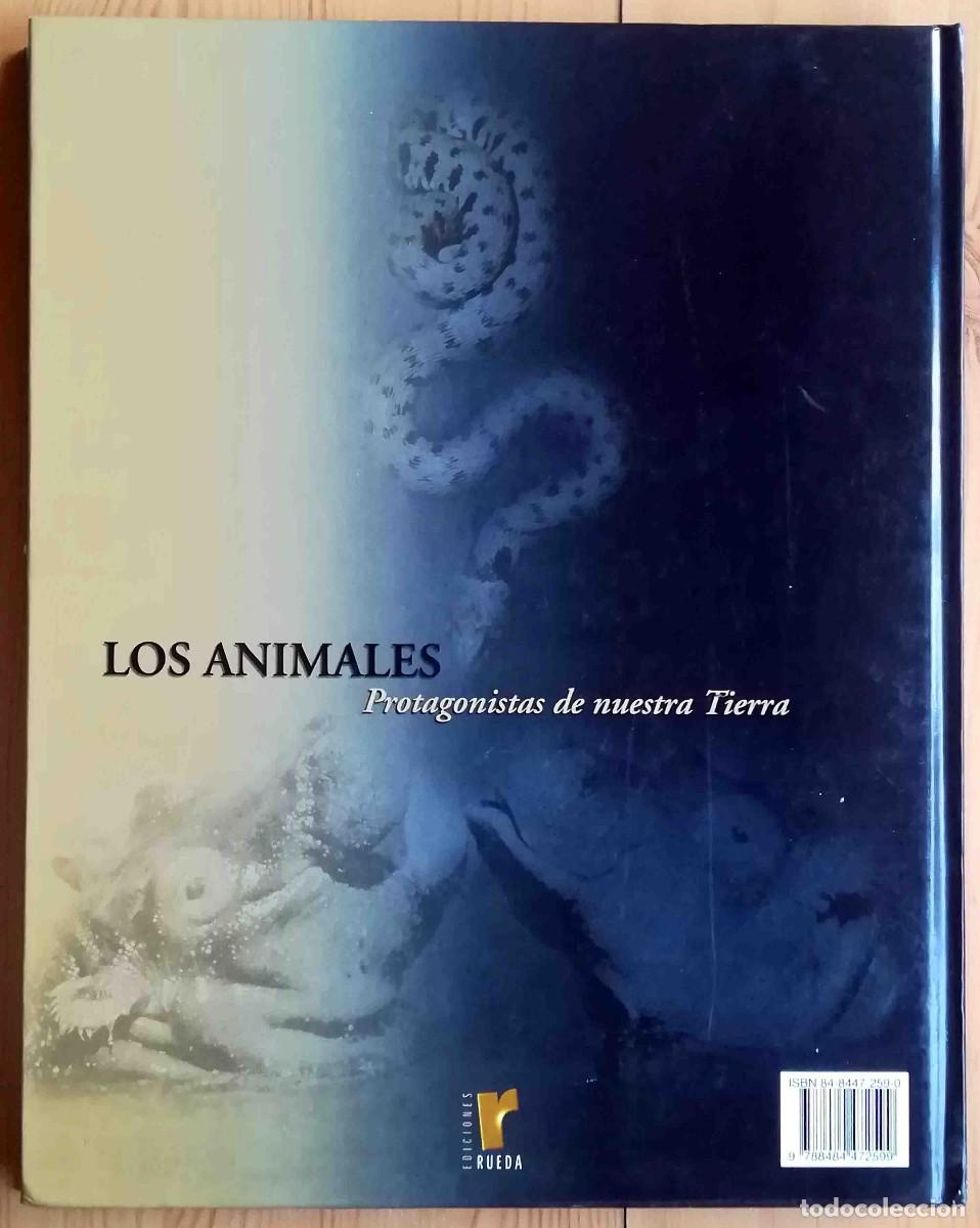 Libros de segunda mano: Los animales protagonistas de nuestra Tierra. Espacios h&uacute;medos. Ediciones Rueda. - Foto 6