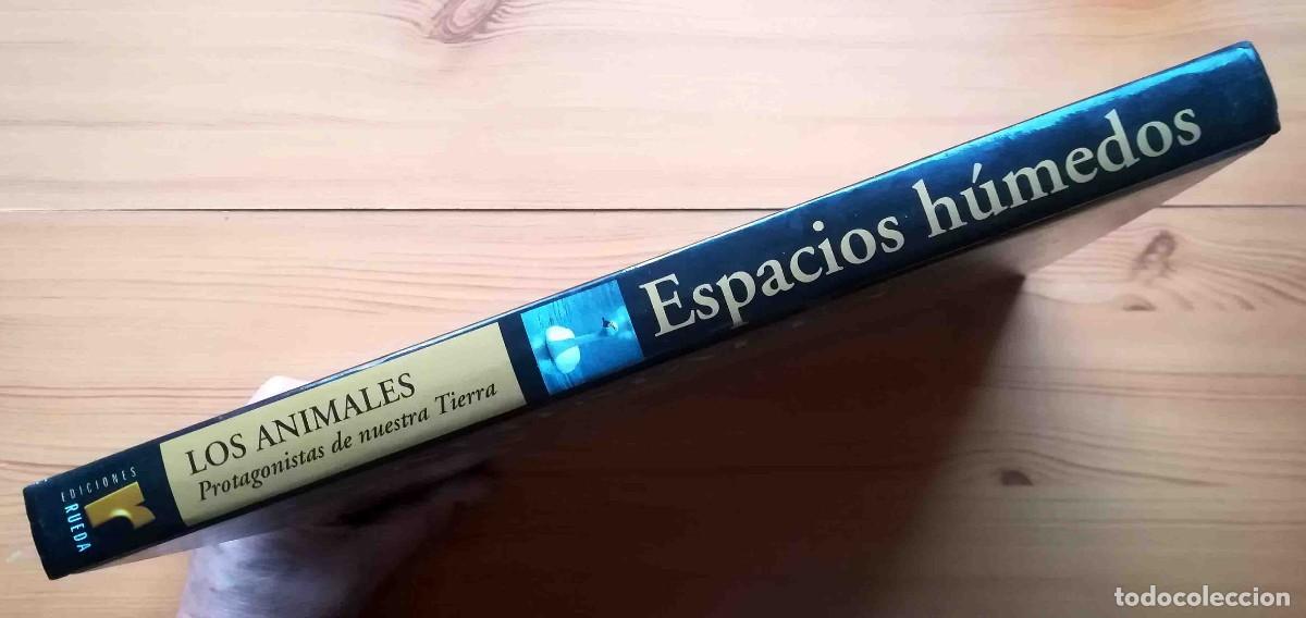 Libros de segunda mano: Los animales protagonistas de nuestra Tierra. Espacios h&uacute;medos. Ediciones Rueda. - Foto 7
