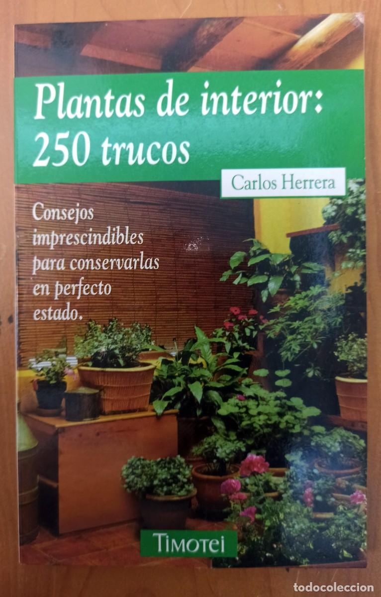 Libros de segunda mano: PLANTAS DE INTERIOR: 250 TRUCOS - Foto 1