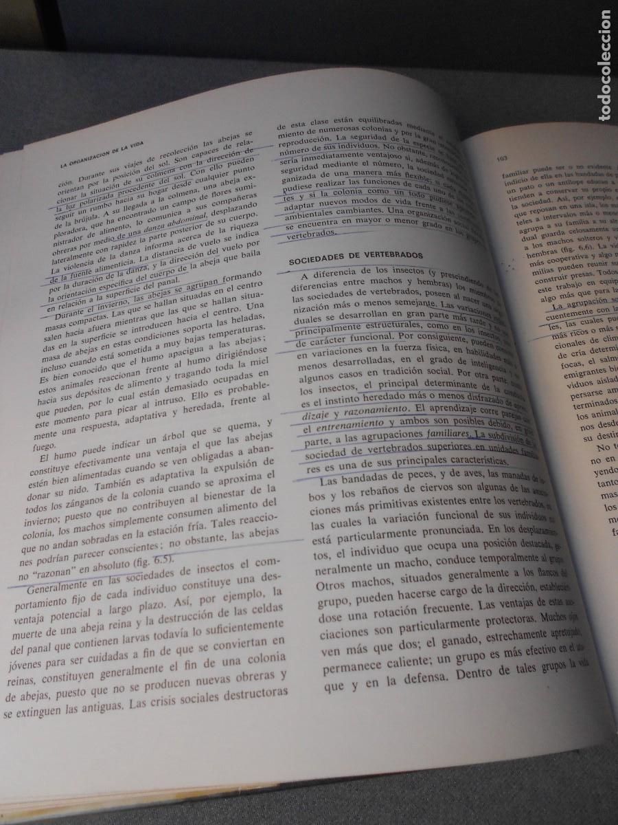 Libros de segunda mano: ELEMENTOS DE BIOLOGIA - Foto 5