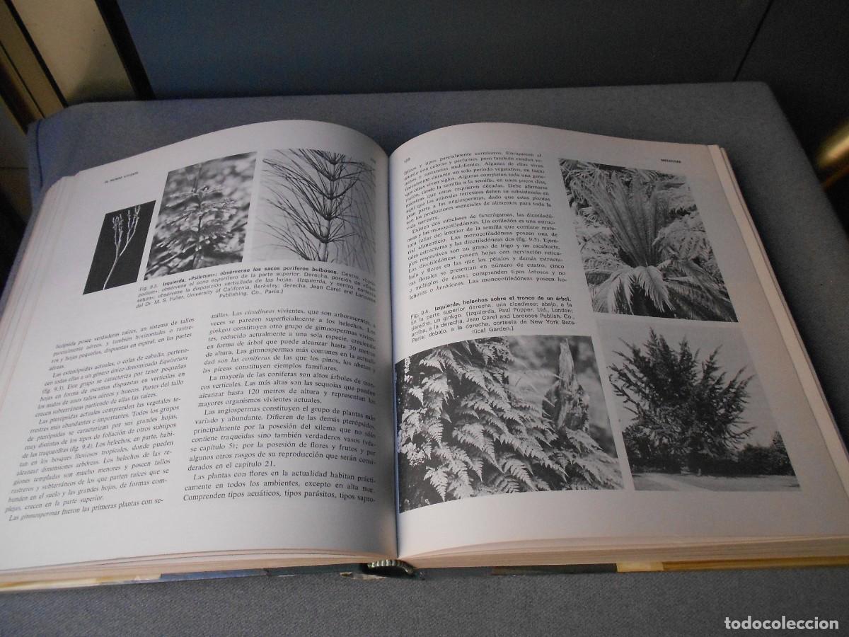 Libros de segunda mano: ELEMENTOS DE BIOLOGIA - Foto 6