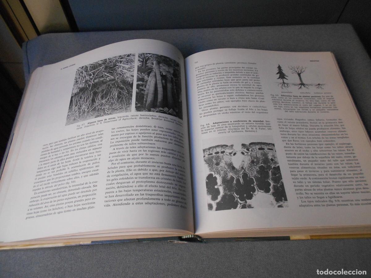 Libros de segunda mano: ELEMENTOS DE BIOLOGIA - Foto 7