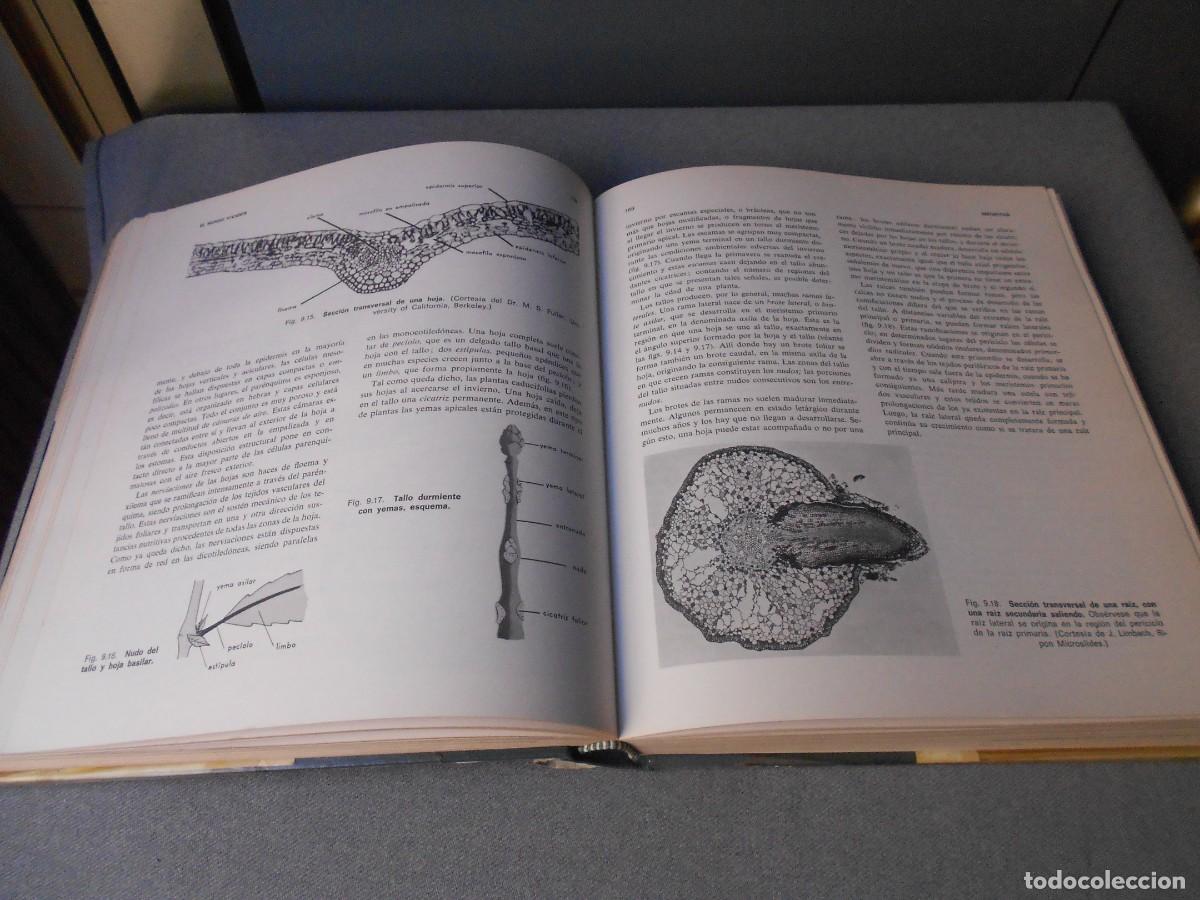 Libros de segunda mano: ELEMENTOS DE BIOLOGIA - Foto 8