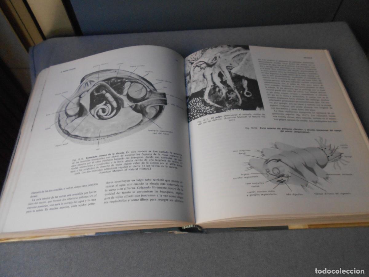 Libros de segunda mano: ELEMENTOS DE BIOLOGIA - Foto 9