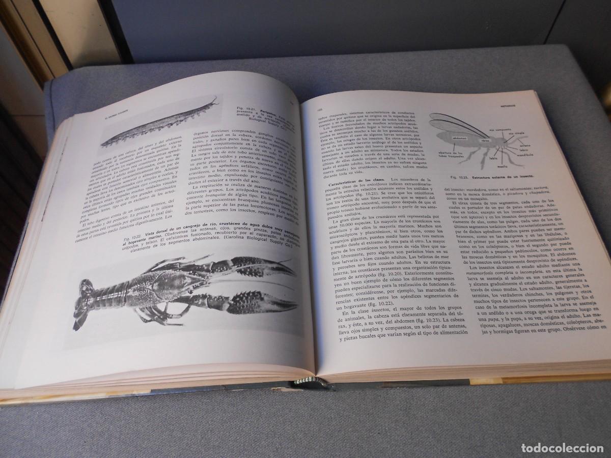 Libros de segunda mano: ELEMENTOS DE BIOLOGIA - Foto 10