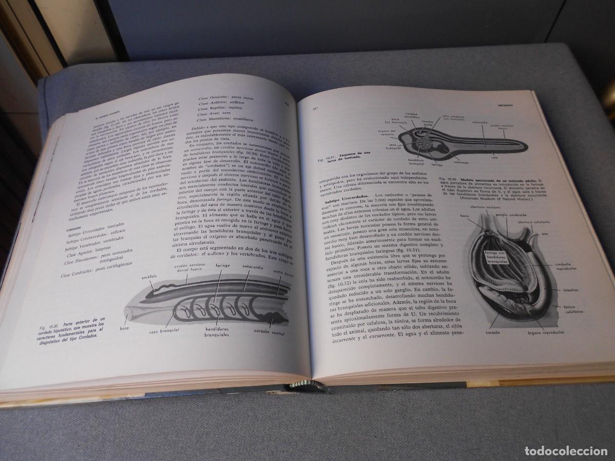 Libros de segunda mano: ELEMENTOS DE BIOLOGIA - Foto 12