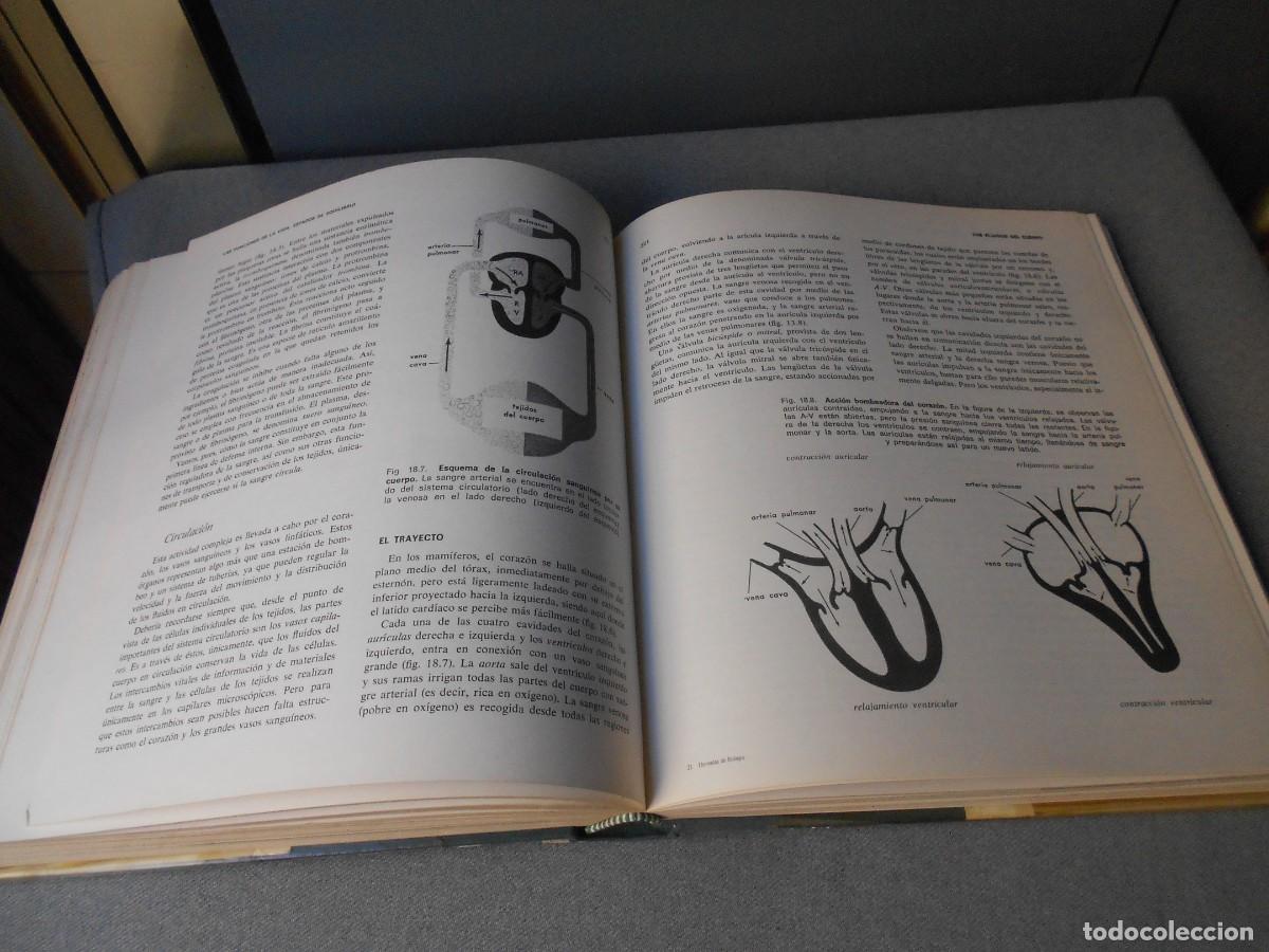 Libros de segunda mano: ELEMENTOS DE BIOLOGIA - Foto 13