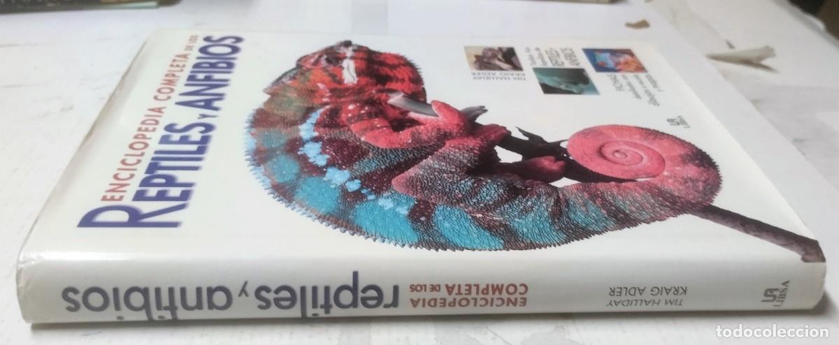 Libros de segunda mano: Enciclopedia completa de los reptiles y anfibios, Libsa, 2011 - Foto 2