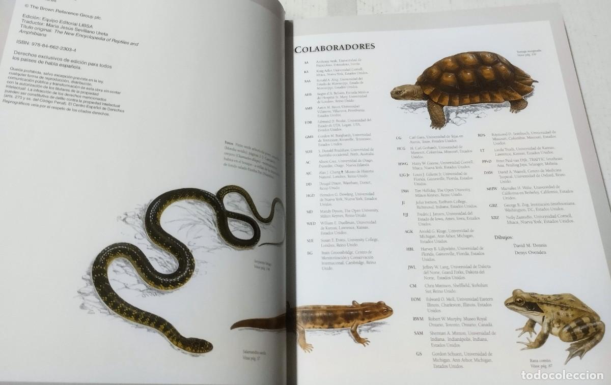 Libros de segunda mano: Enciclopedia completa de los reptiles y anfibios, Libsa, 2011 - Foto 3