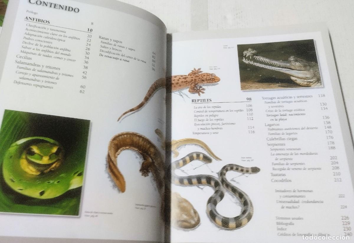 Libros de segunda mano: Enciclopedia completa de los reptiles y anfibios, Libsa, 2011 - Foto 4