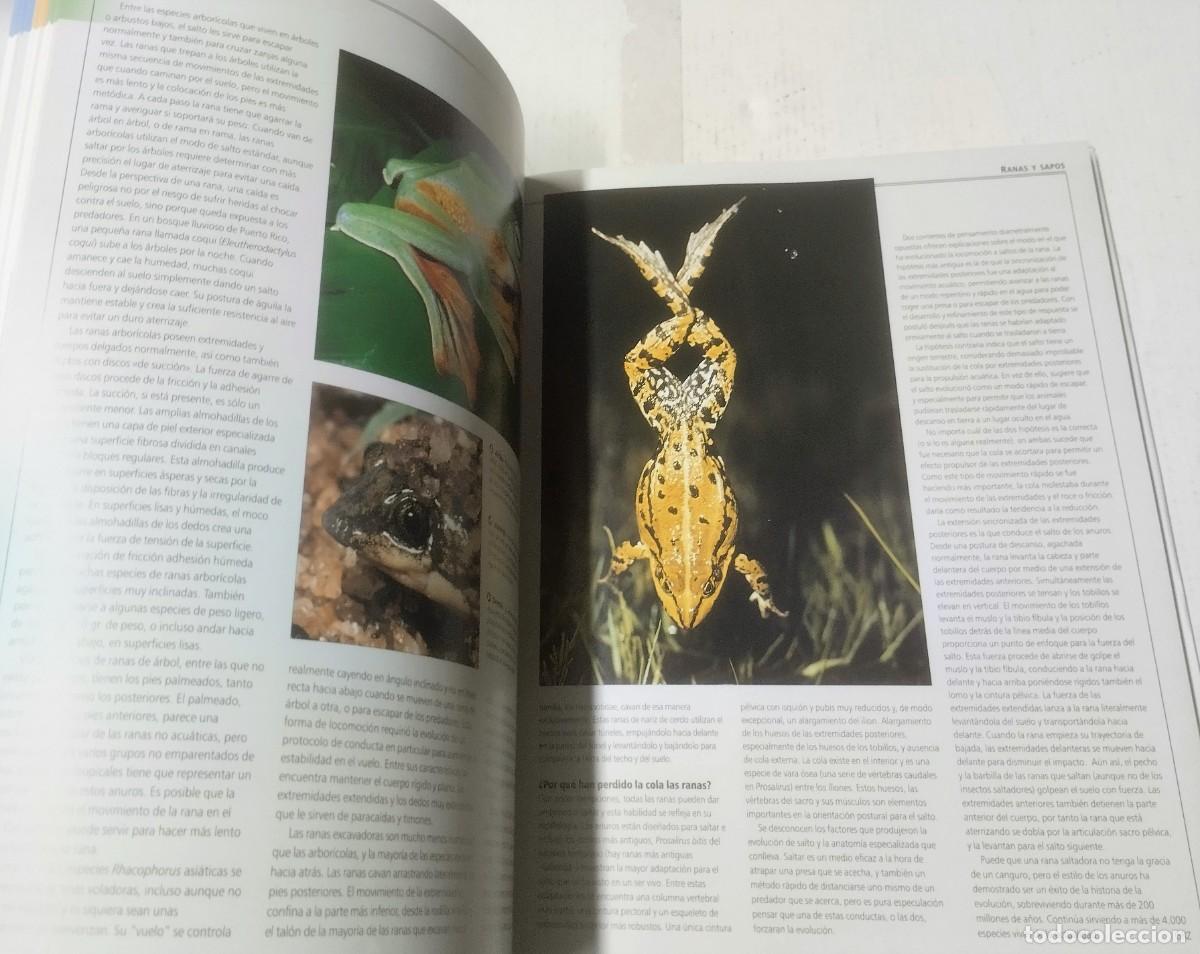 Libros de segunda mano: Enciclopedia completa de los reptiles y anfibios, Libsa, 2011 - Foto 5