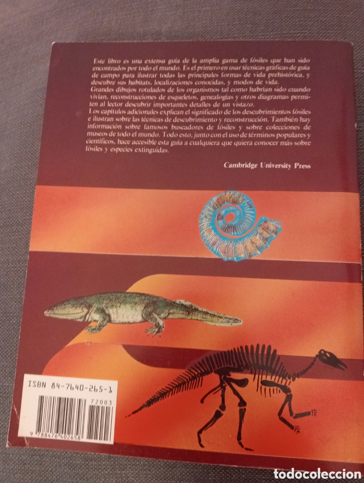 Libros de segunda mano: Guia de cambridge de la vida prehistorica .David Lambert . edaf . - Foto 2