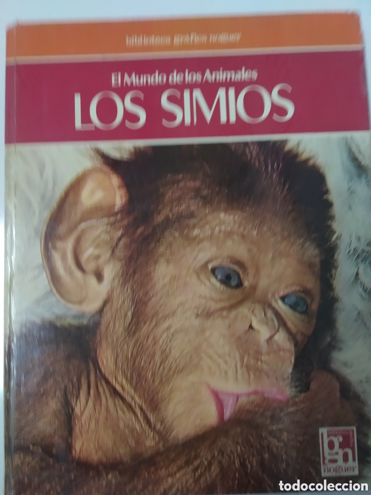 Libros de segunda mano: EL MUNDO DE LOS ANIMALES. LOS SIMIOS. NOGUER - Foto 1