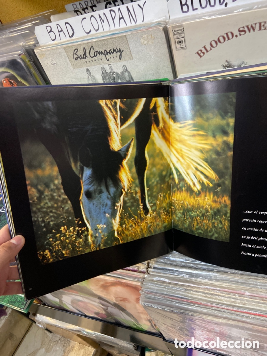 Libros de segunda mano: El noble bruto Robert Vavra - Foto 2