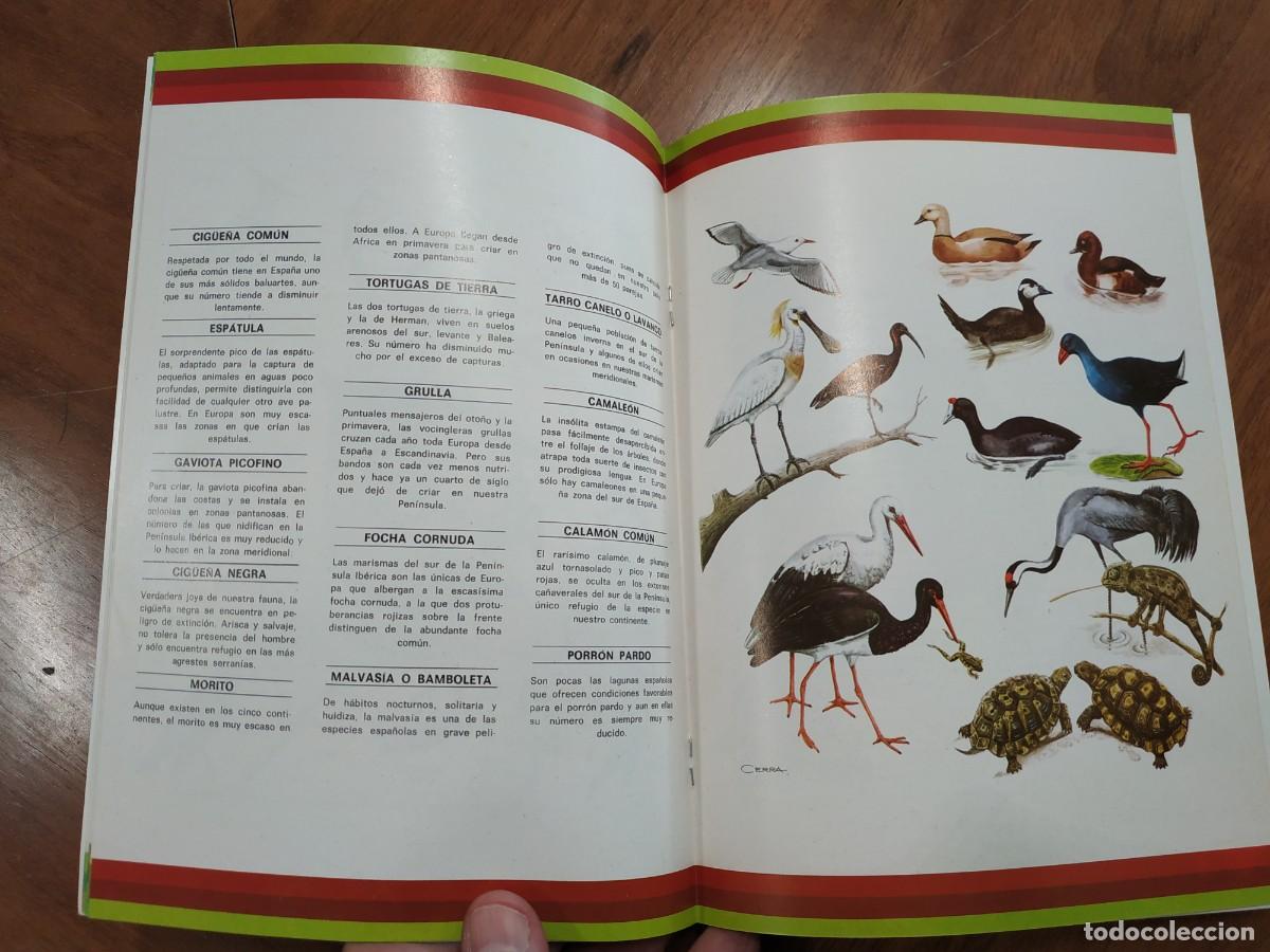 Libros de segunda mano: PROTECCI&Oacute;N DE LA NATURALEZA. ICONA - Foto 2