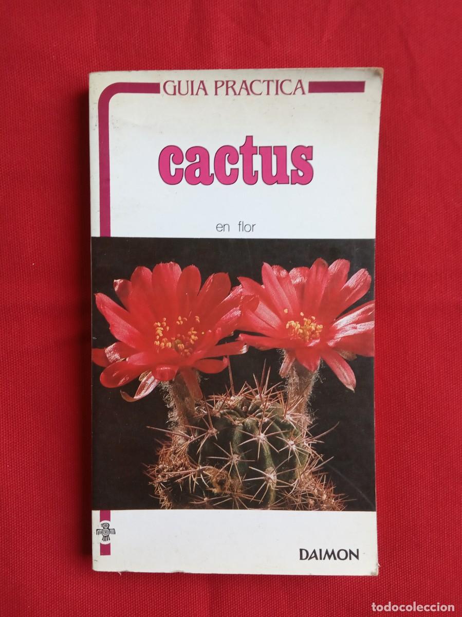 Libros de segunda mano: GU&Iacute;A PR&Aacute;CTICA CACTUS EN FLOR - DAIMON - Foto 1