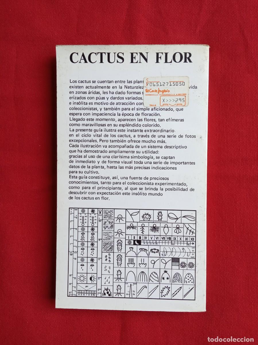 Libros de segunda mano: GU&Iacute;A PR&Aacute;CTICA CACTUS EN FLOR - DAIMON - Foto 2