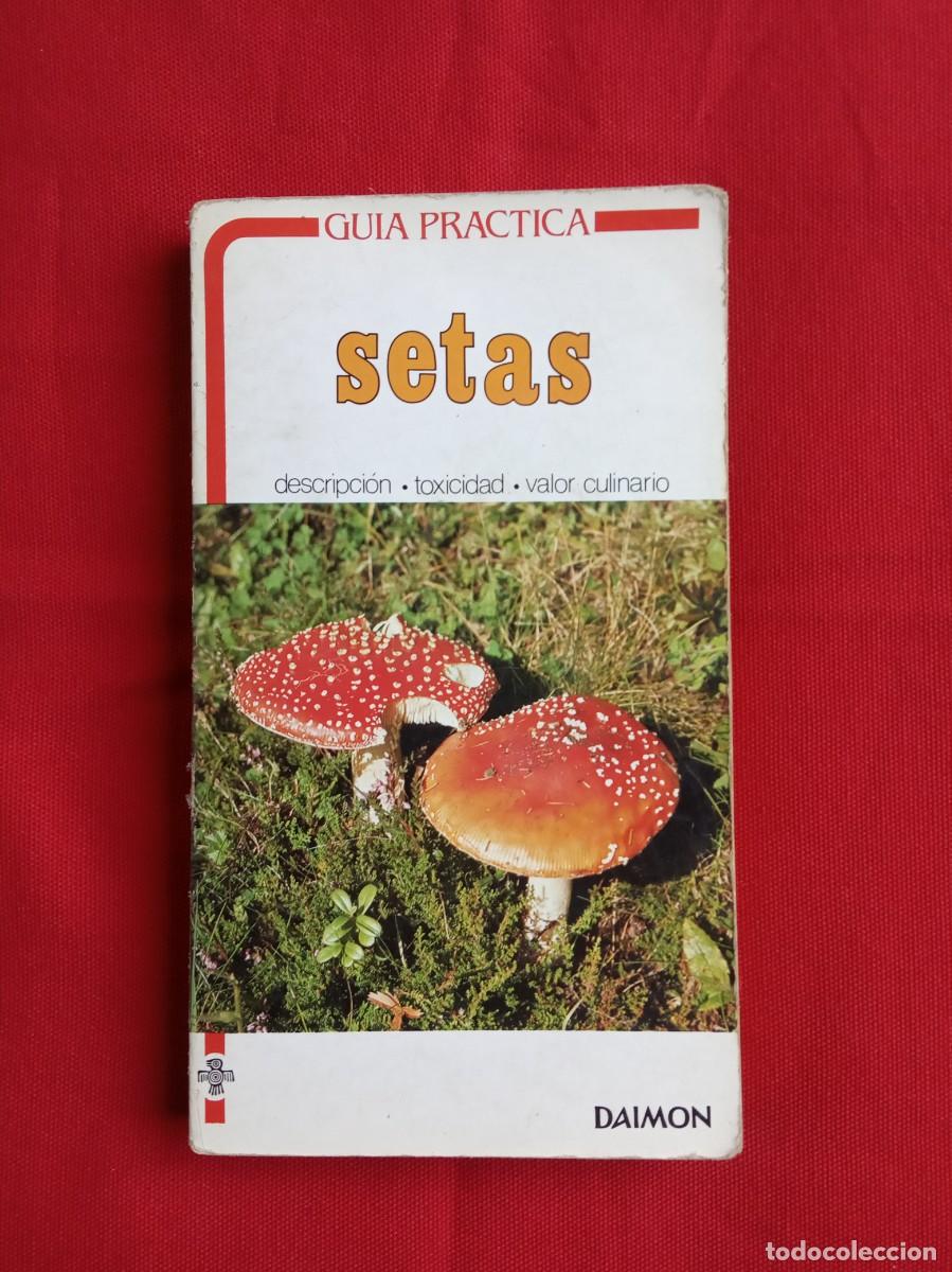 Libros de segunda mano: GU&Iacute;A PR&Aacute;CTICA SETAS - DAIMON - Foto 1