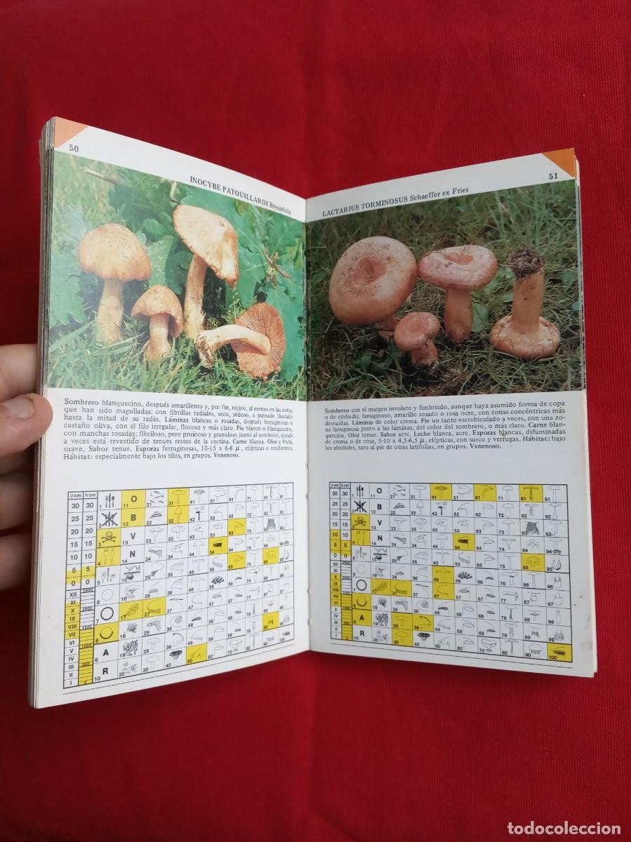 Libros de segunda mano: GU&Iacute;A PR&Aacute;CTICA SETAS - DAIMON - Foto 2