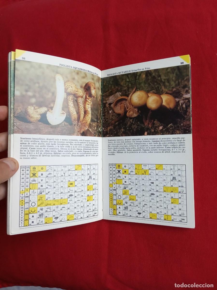 Libros de segunda mano: GU&Iacute;A PR&Aacute;CTICA SETAS - DAIMON - Foto 3