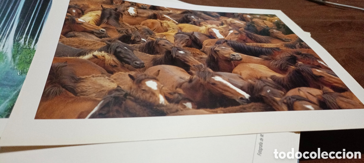 Libros de segunda mano: Espa&ntilde;a Herida Joaqu&iacute;n Araujo - Foto 2