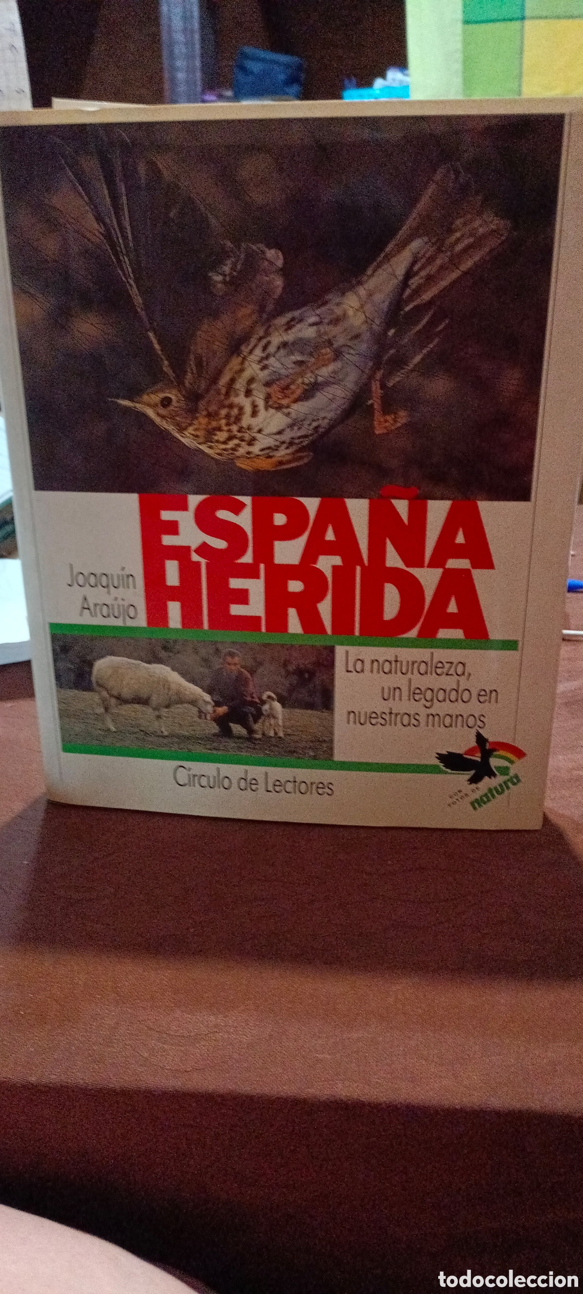 Libros de segunda mano: Espa&ntilde;a Herida Joaqu&iacute;n Araujo - Foto 1