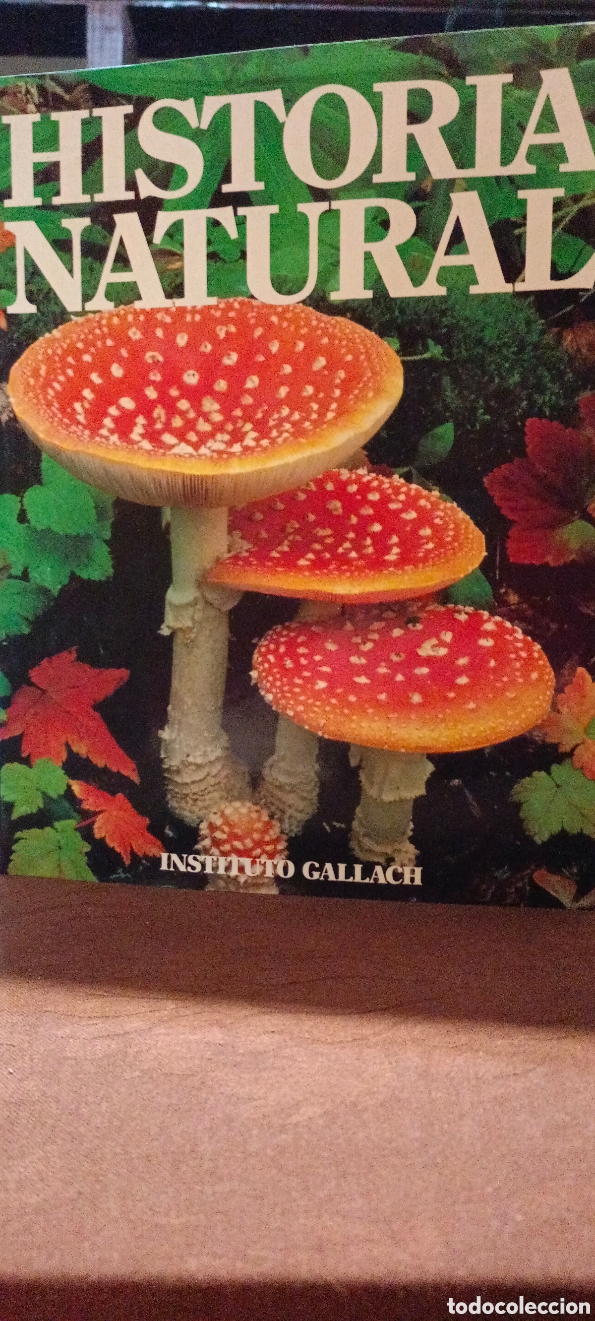 Libros de segunda mano: Historia natural - Foto 1