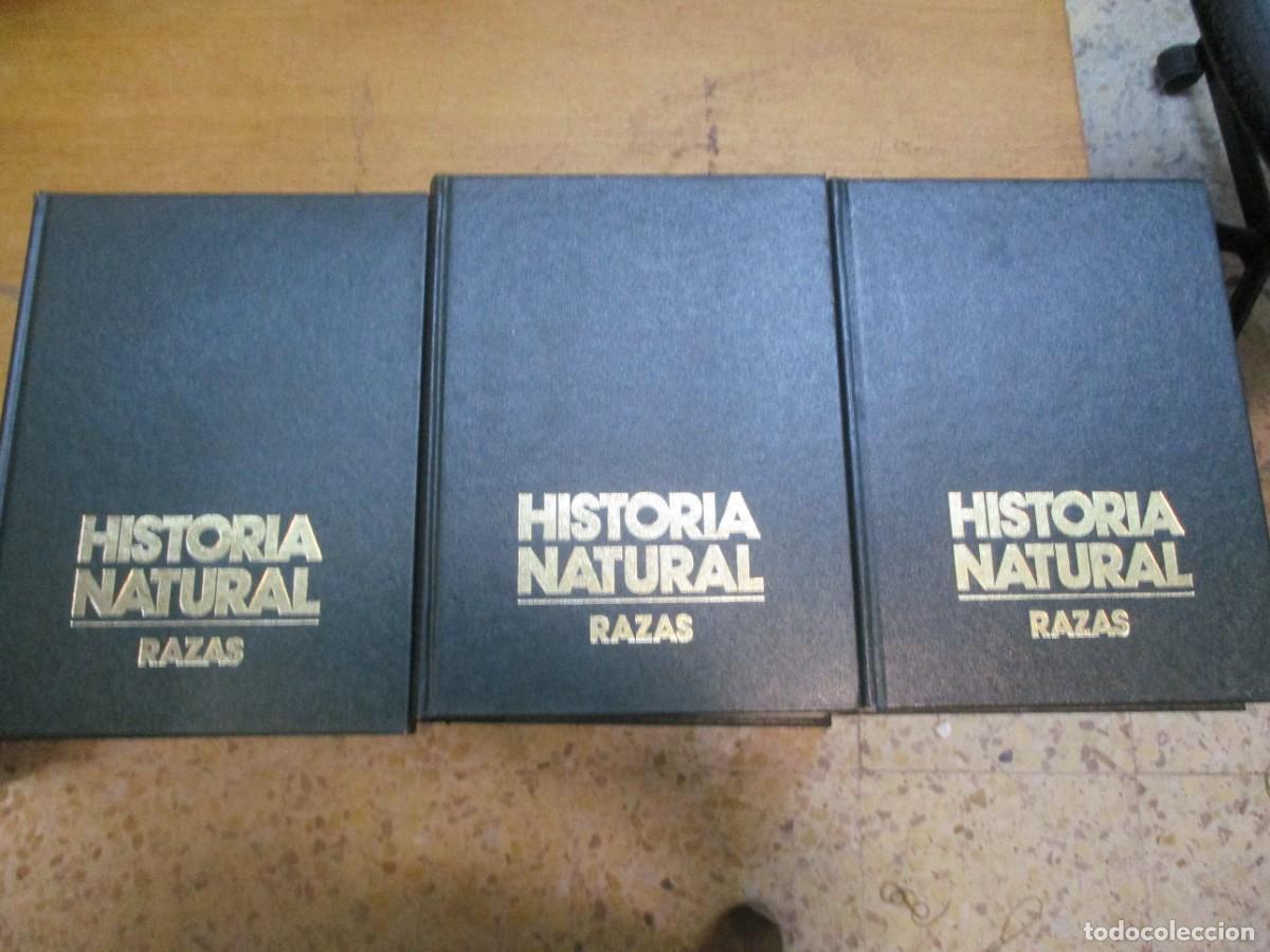 Libros de segunda mano: HISTORIA NATURAL Razas (3 tomos) W15525 - Foto 2