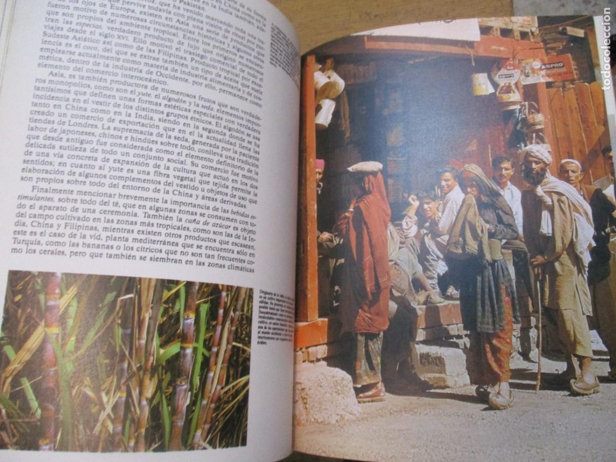 Libros de segunda mano: HISTORIA NATURAL Razas (3 tomos) W15525 - Foto 3
