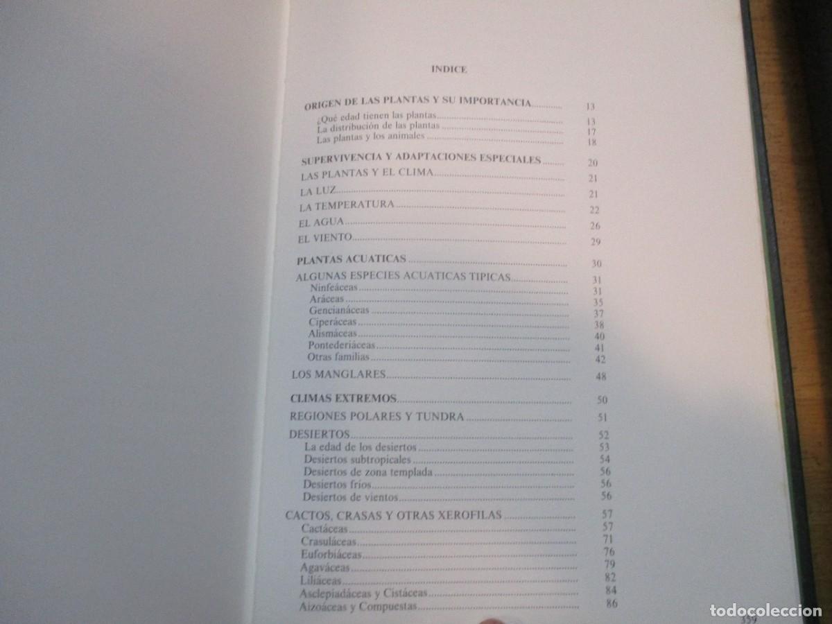 Libros de segunda mano: HISTORIA NATURAL Flora (2 tomos) W15526 - Foto 2