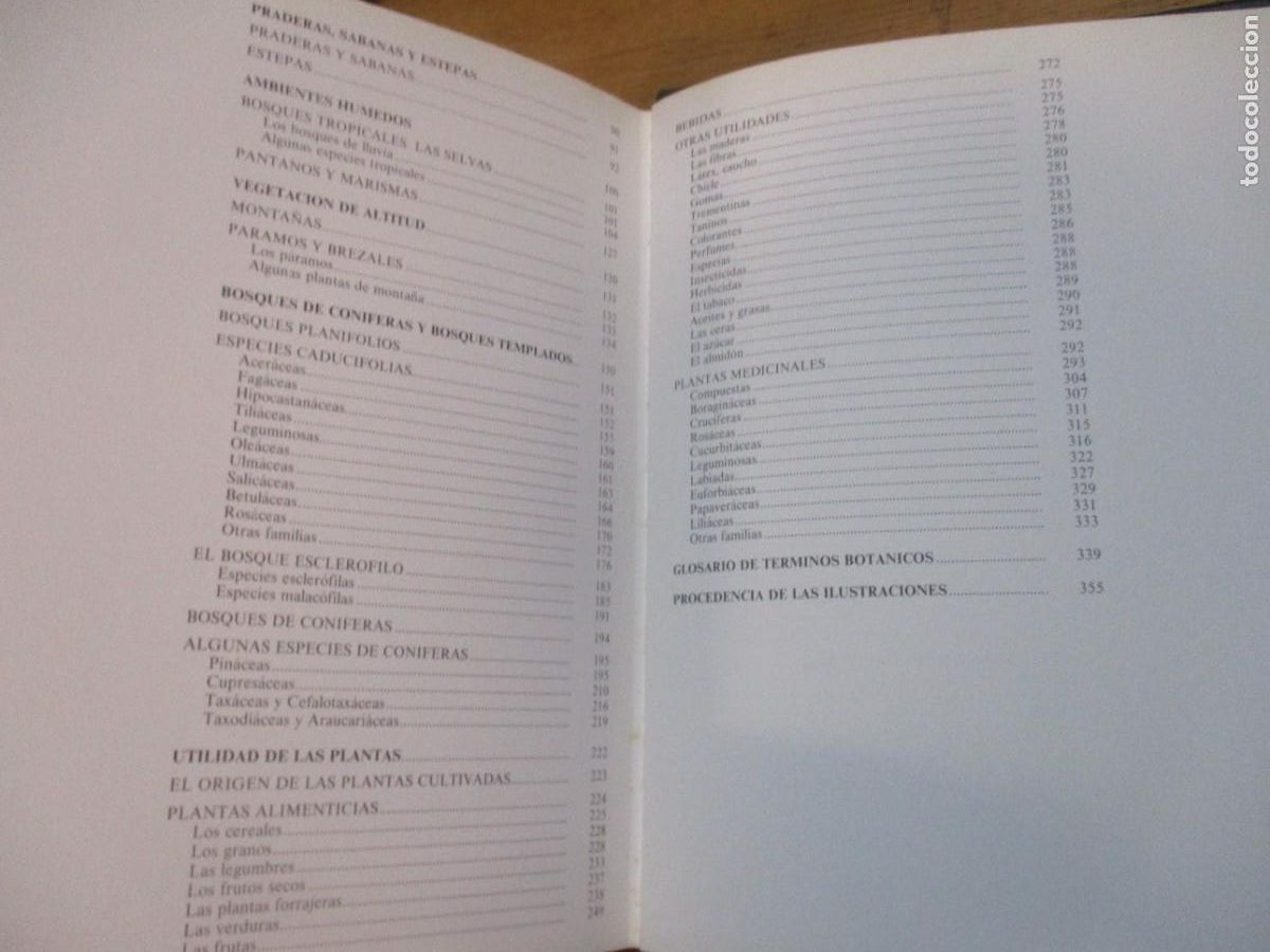 Libros de segunda mano: HISTORIA NATURAL Flora (2 tomos) W15526 - Foto 3