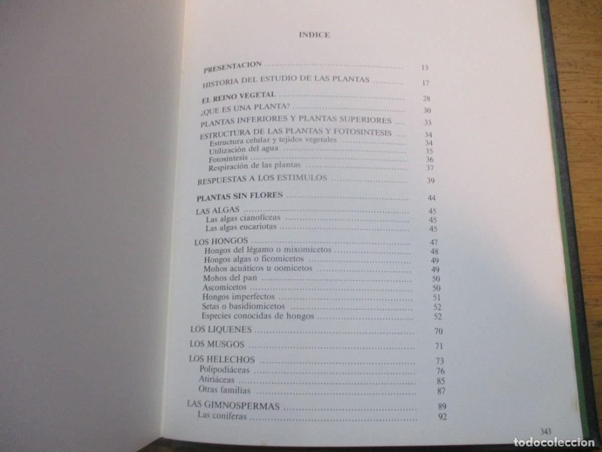 Libros de segunda mano: HISTORIA NATURAL Flora (2 tomos) W15526 - Foto 4