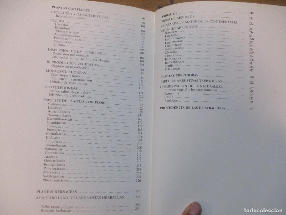 Libros de segunda mano: HISTORIA NATURAL Flora (2 tomos) W15526 - Foto 5