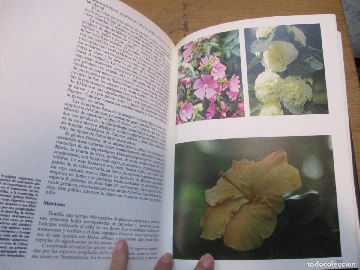Libros de segunda mano: HISTORIA NATURAL Flora (2 tomos) W15526 - Foto 6