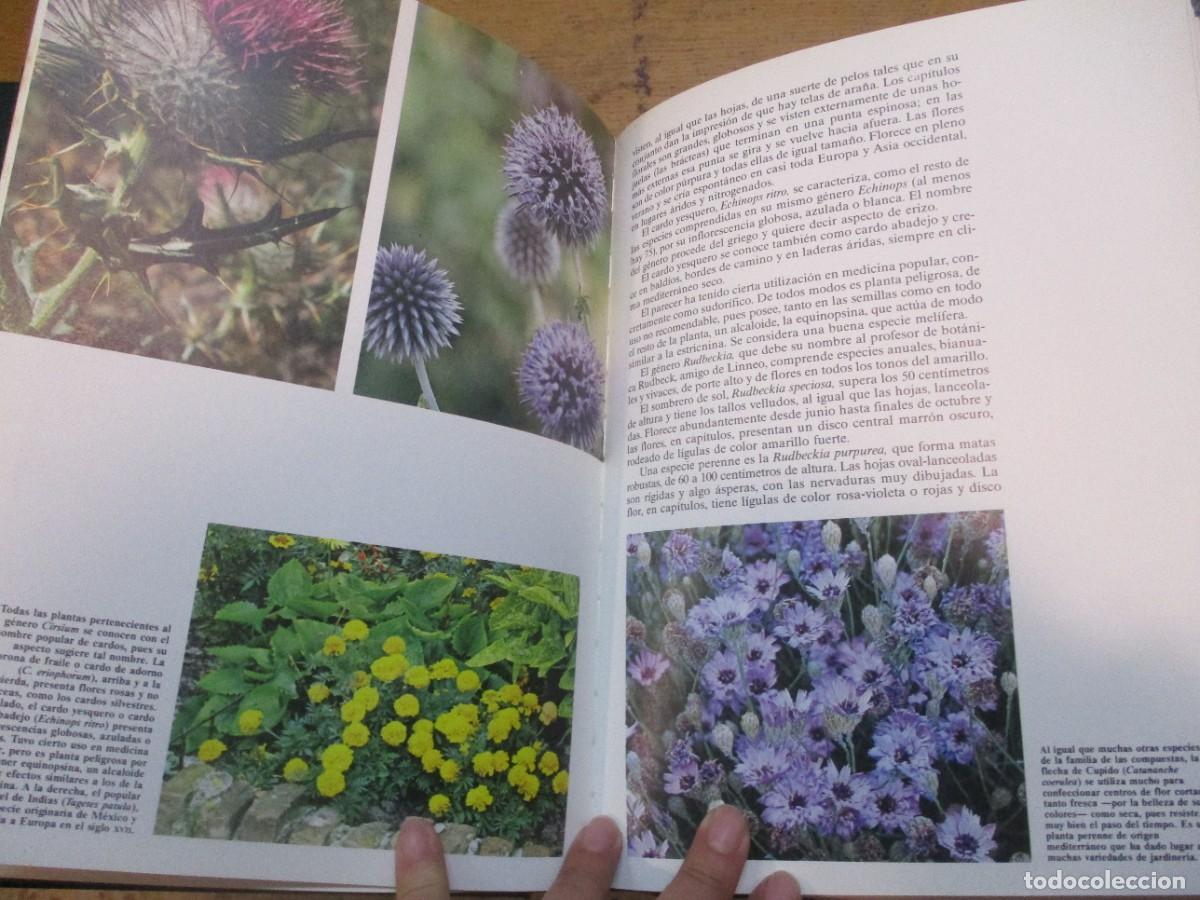 Libros de segunda mano: HISTORIA NATURAL Flora (2 tomos) W15526 - Foto 7
