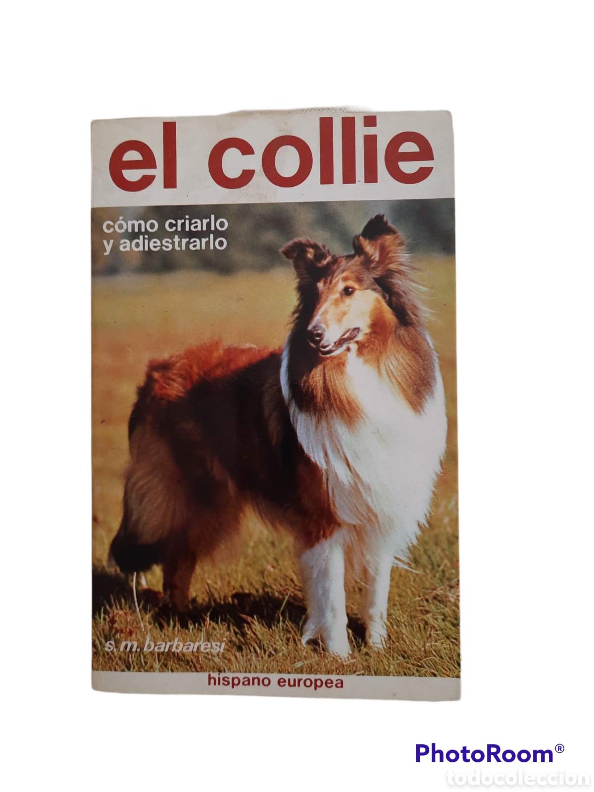 Libros de segunda mano: EL COLLIE, SARA M. BARBARESI - Foto 1