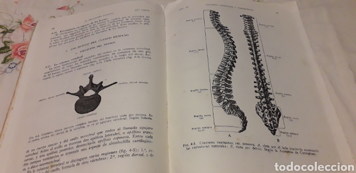 Libros de segunda mano: CIENCIAS NATURALES, SALUSTIO ALVARADO, - Foto 5