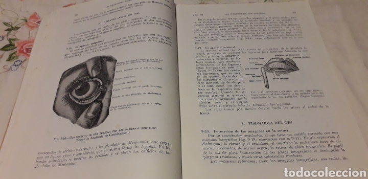 Libros de segunda mano: CIENCIAS NATURALES, SALUSTIO ALVARADO, - Foto 6