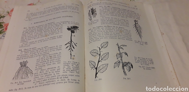 Libros de segunda mano: CIENCIAS NATURALES, SALUSTIO ALVARADO, - Foto 7