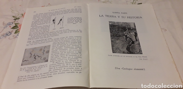 Libros de segunda mano: CIENCIAS NATURALES, SALUSTIO ALVARADO, - Foto 8