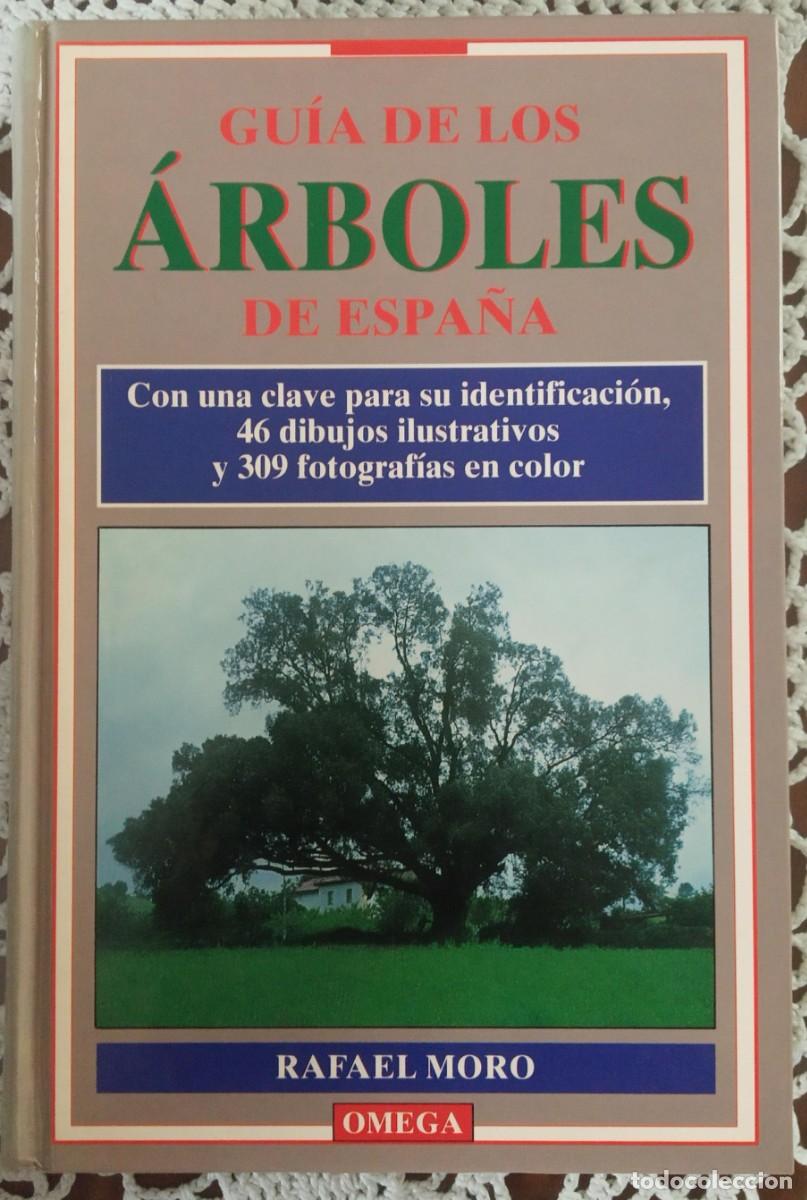 Libros de segunda mano: GUIA DE LOS ARBOLES DE ESPA&Ntilde;A - RAFAEL MORO - Foto 1