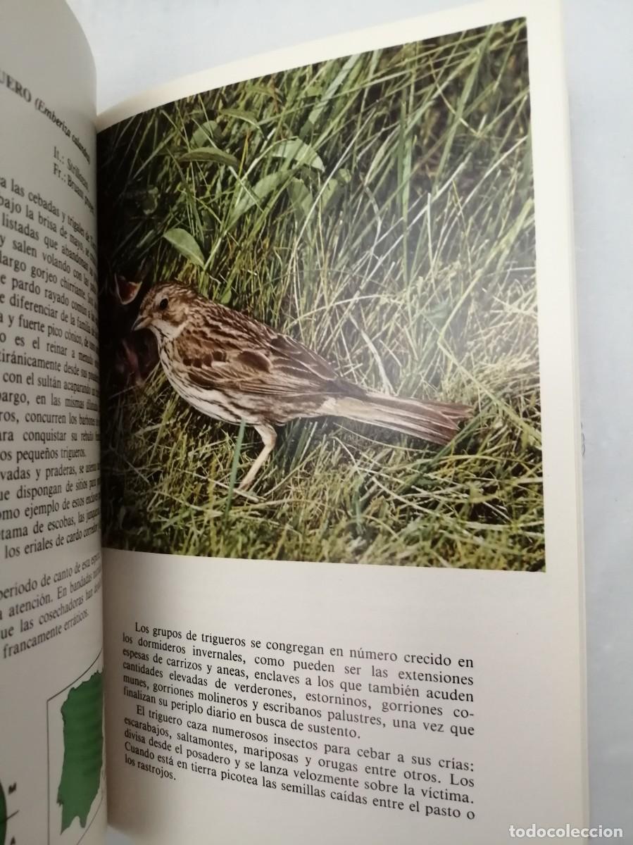 Libros de segunda mano: P&Aacute;JAROS DE NUESTROS CAMPOS Y BOSQUES - Foto 6