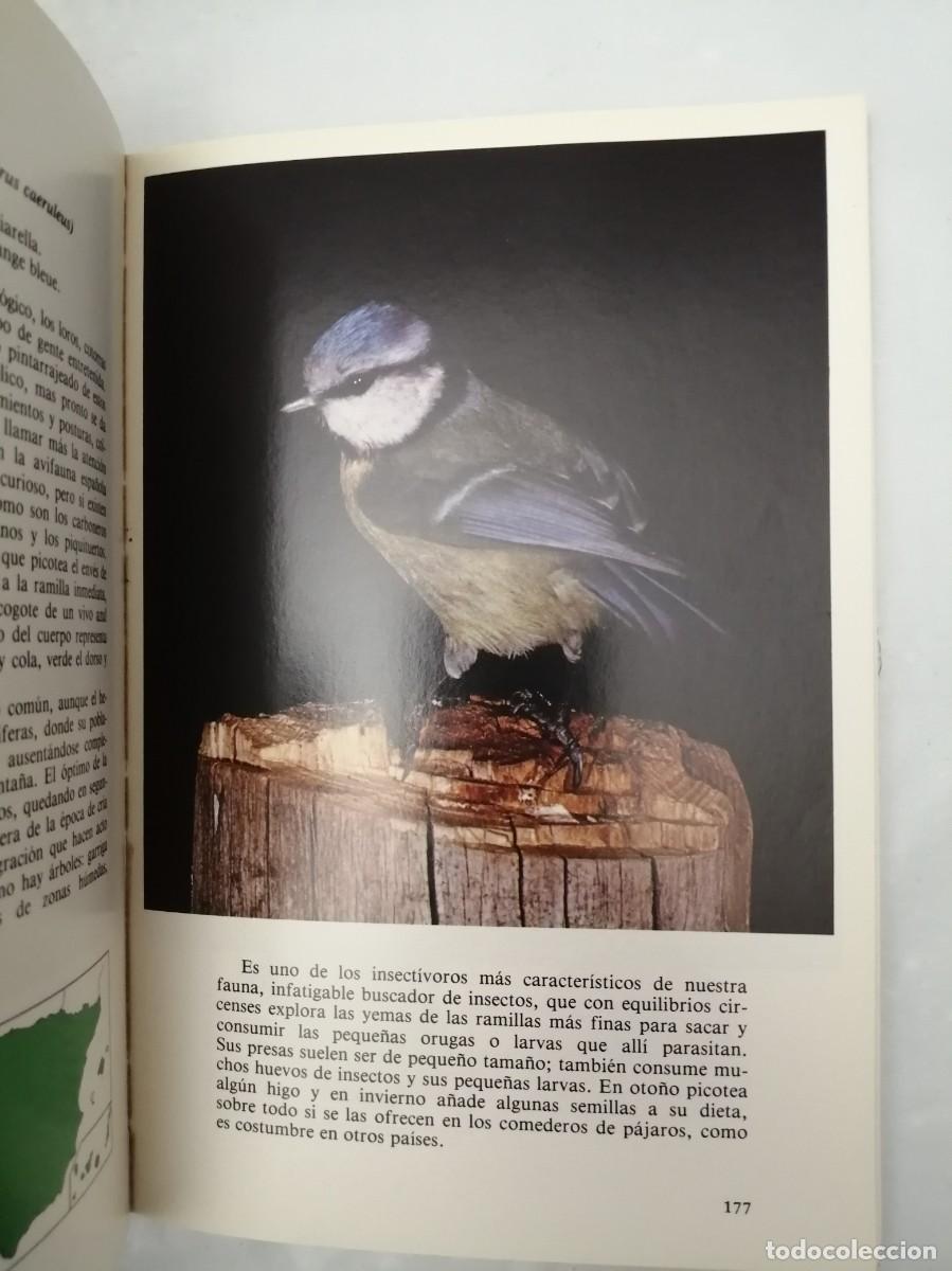 Libros de segunda mano: P&Aacute;JAROS DE NUESTROS CAMPOS Y BOSQUES - Foto 7